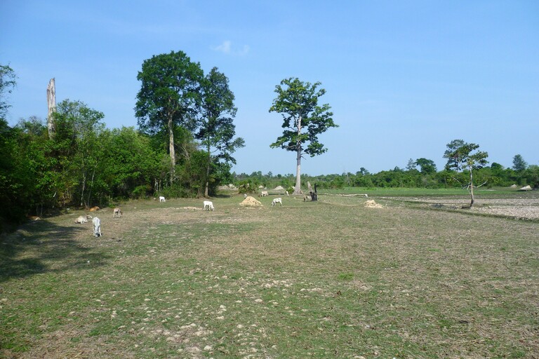 Fahrt nach Banteay Srei
