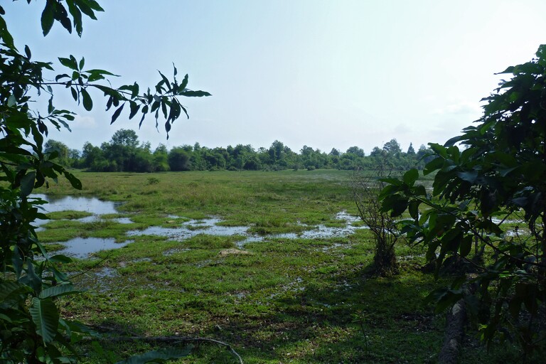 Fahrt nach Banteay Srei