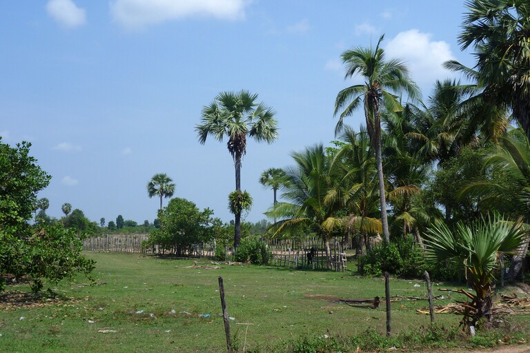 Fahrt nach Banteay Srei