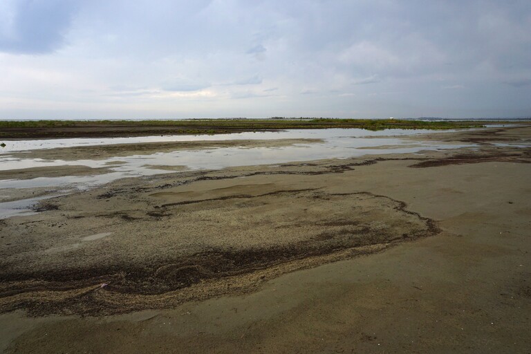 Divjaka Karavasta NP