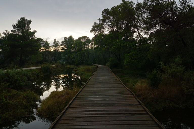 Divjaka Karavasta NP