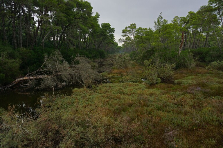 Divjaka Karavasta NP