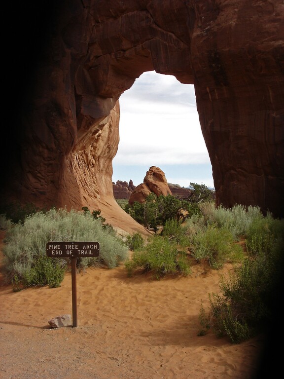 Arches_Devils Garden_Pine Tree Arch