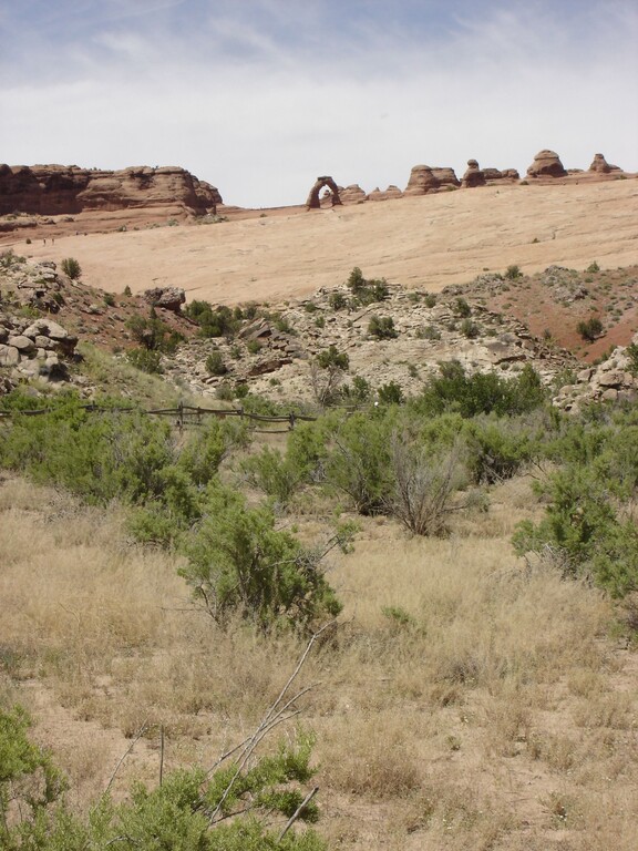 Arches_Lower Delicate Arch Viewpoint