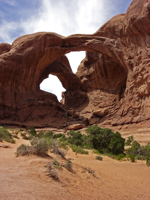 Arches_Windows Section_Double Arch