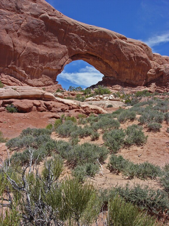 Arches_Windows Section_North Window