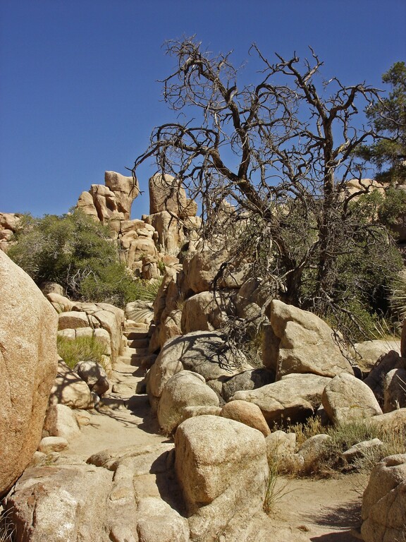Joshua Tree_Hidden Valley