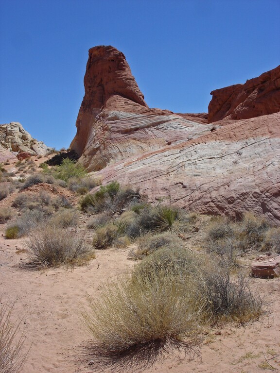 Valley of Fire_White Domes Trail