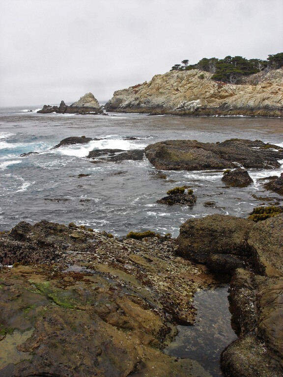 Point Lobos State Reserve
