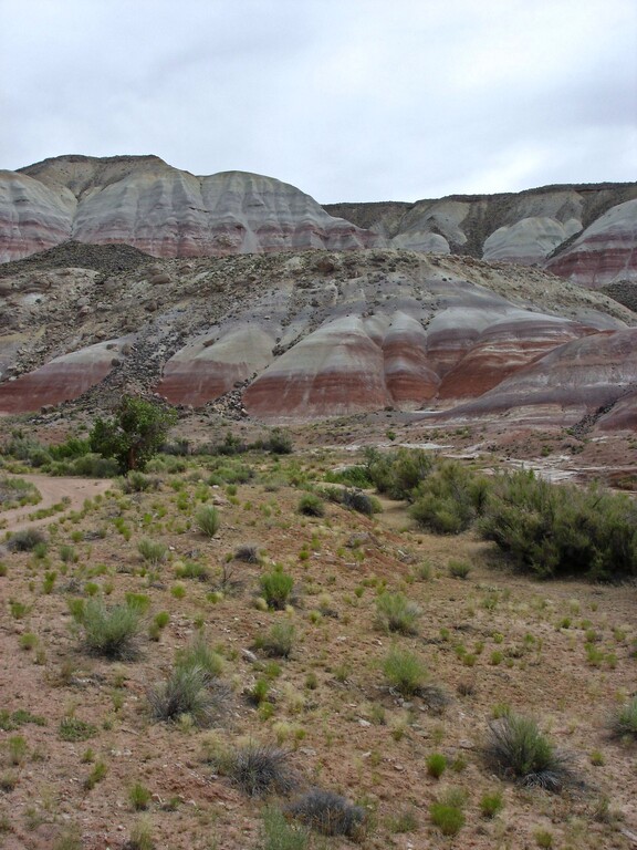 Fahrt nach Capitol Reef