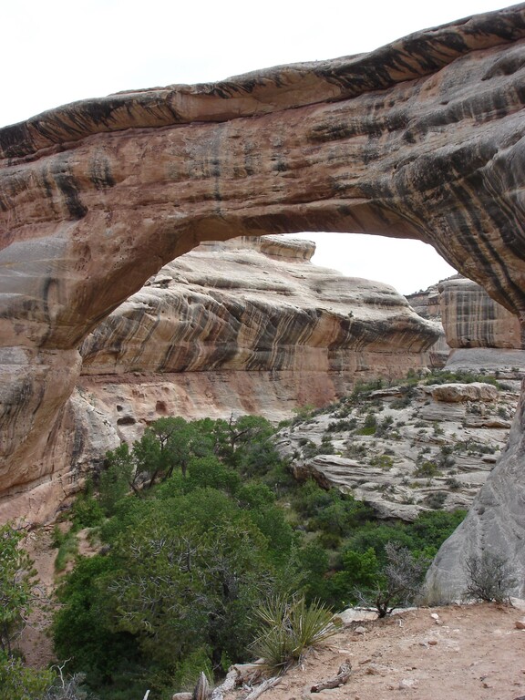 Natural Bridges_Sipapu