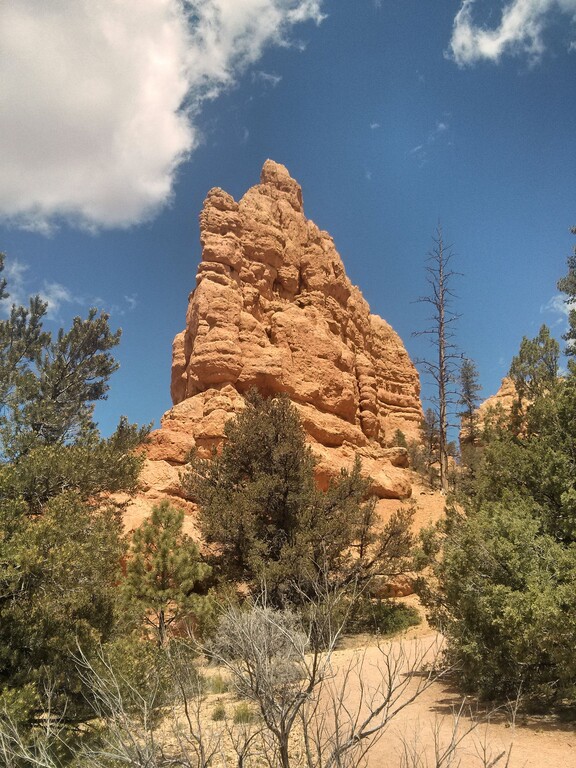 © ziegler.world Red Canyon