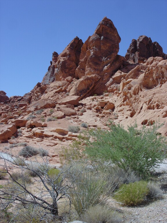 Valley of Fire_Heimfahrt