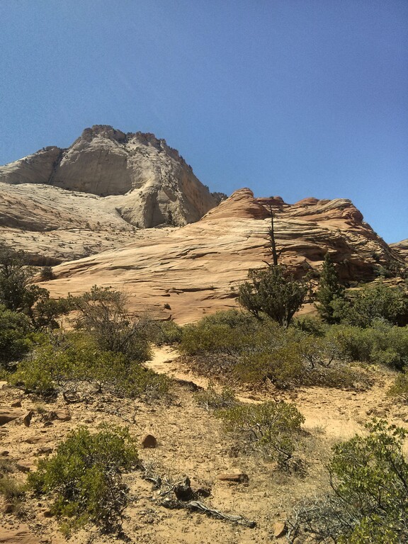 © ziegler.world Zion