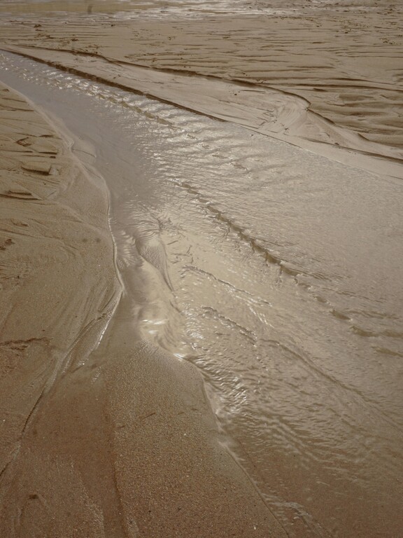 Parque Natural de las Dunas de Liencres