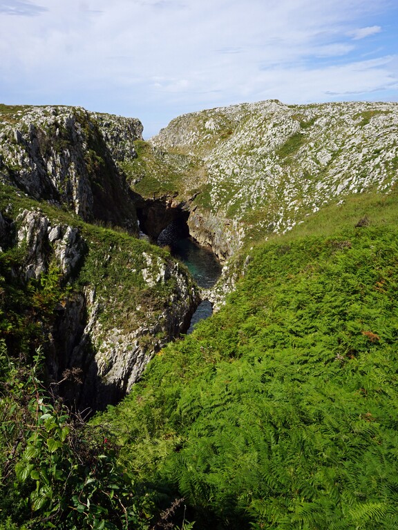 Formación de Las Grallas