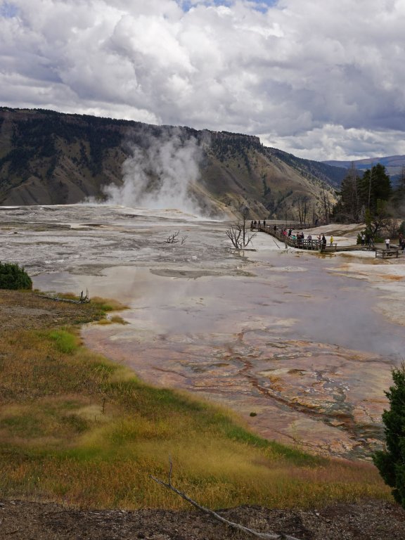 Mammoth Hot Springs
