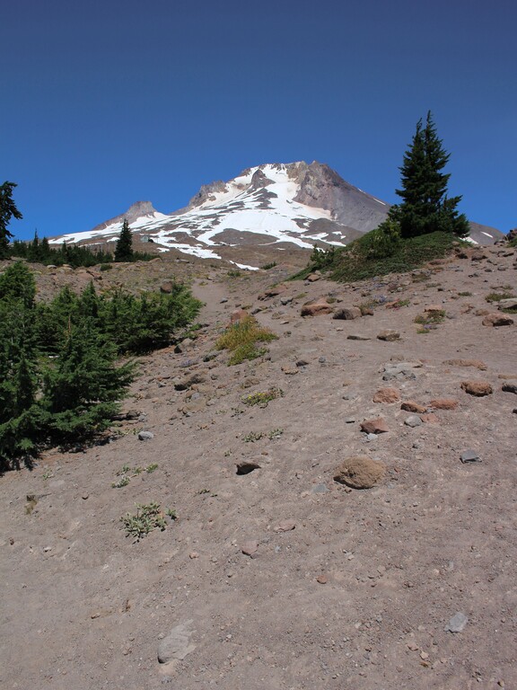 Mt Hood