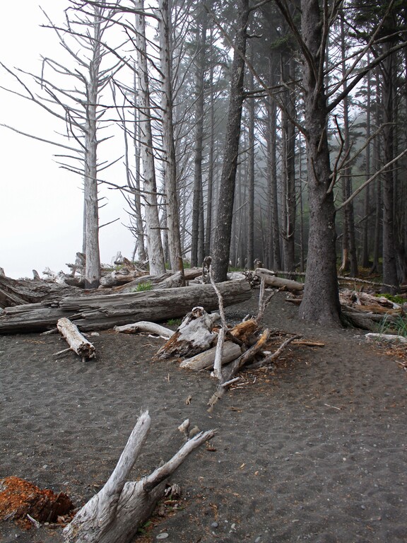 Rialto Beach