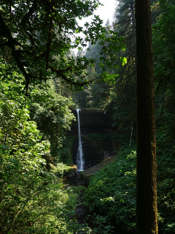 Silver Falls State Park_Middle North Falls