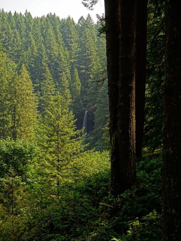 Silver Falls State Park_North Falls Viewpoint