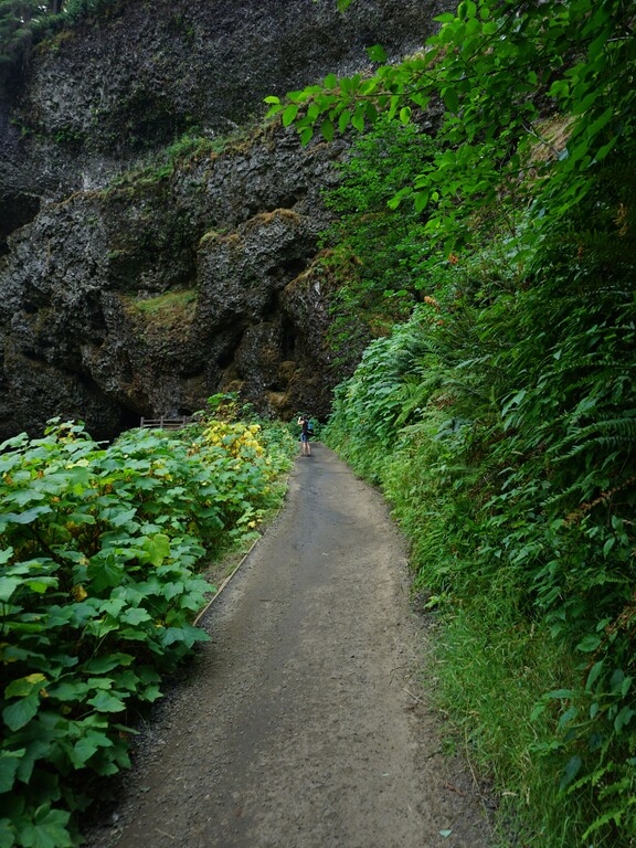 Silver Falls State Park_South Falls