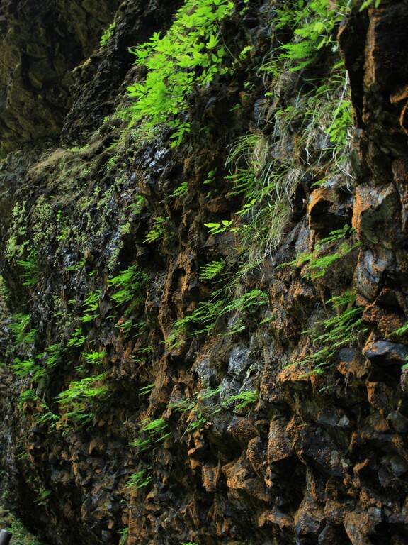 Silver Falls State Park_South Falls