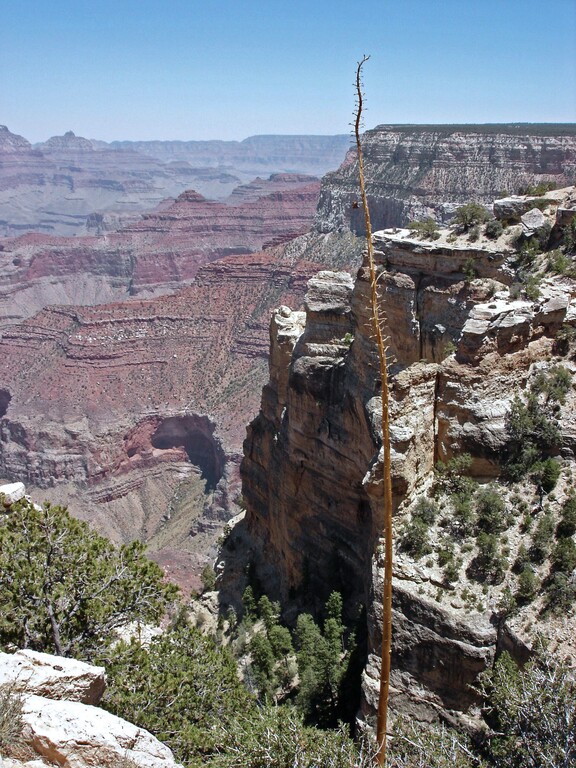 Grand Canyon_Nachmittag