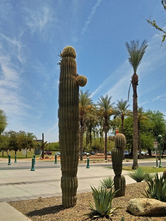 © ziegler.world Phoenix