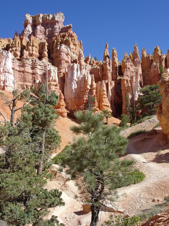 Bryce Canyon_Queens Garden Trail