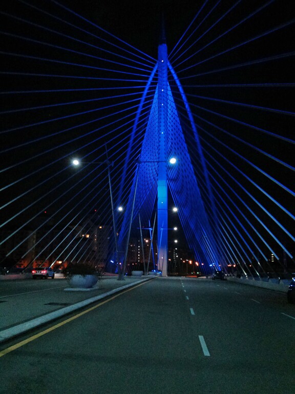 © ziegler.world Seri Wawasan Bridge