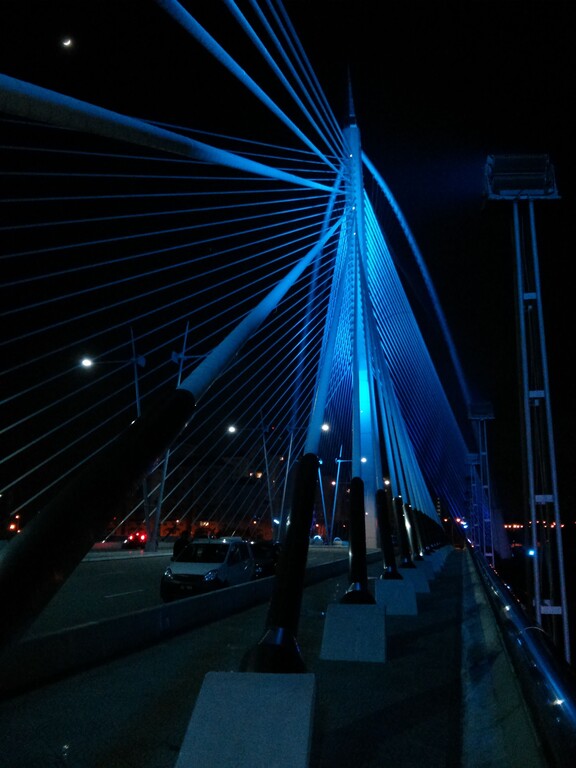 © ziegler.world Seri Wawasan Bridge