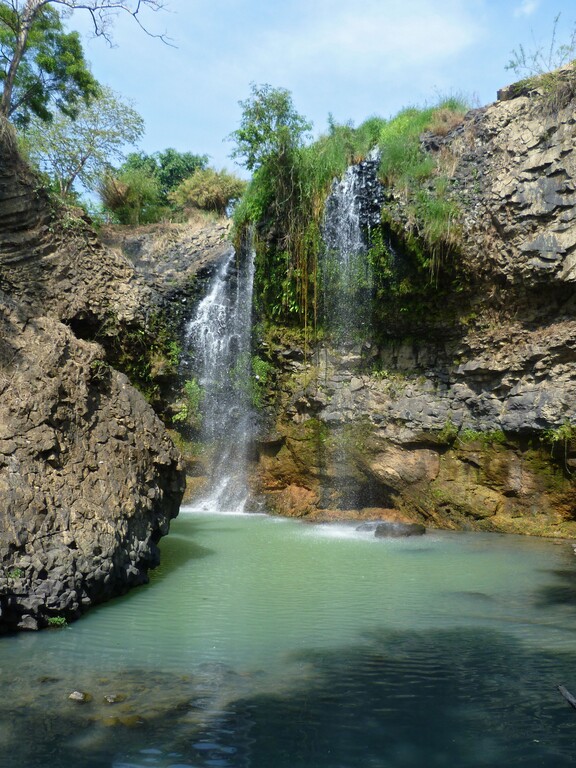 © ziegler.world Dray Sap