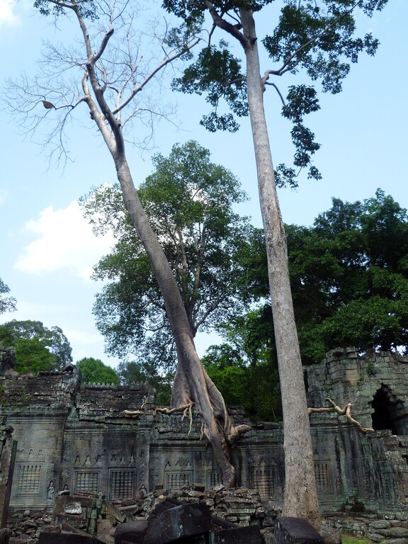 Preah Khan