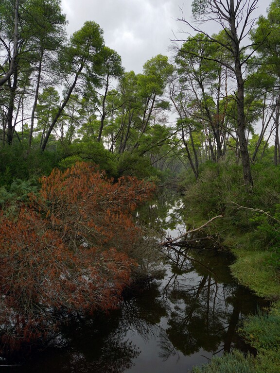 Divjaka Karavasta NP