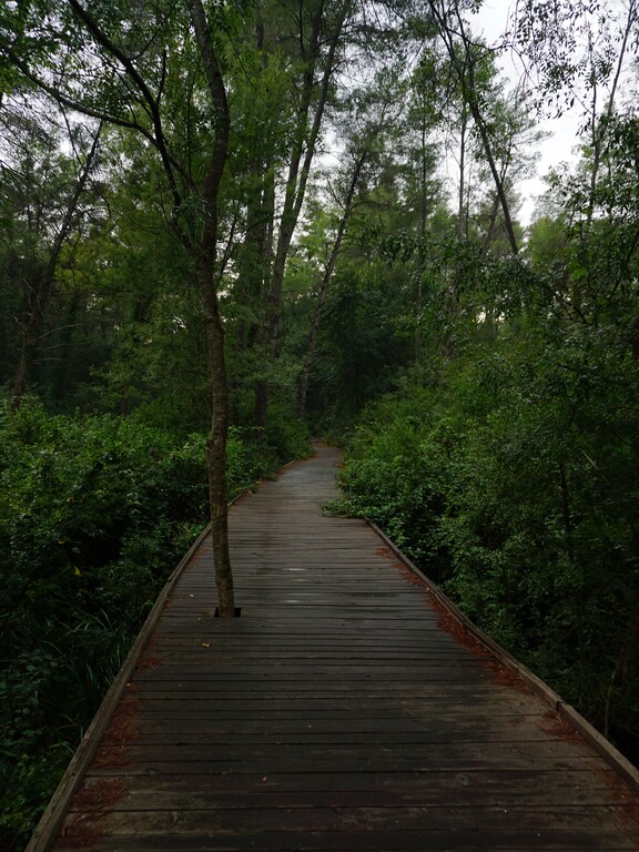 Divjaka Karavasta NP